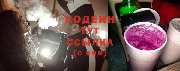 2c-b Пестово