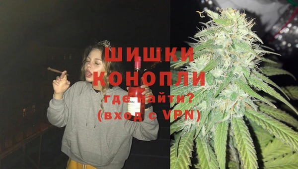 2c-b Пестово