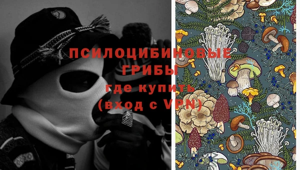 jwh Пересвет