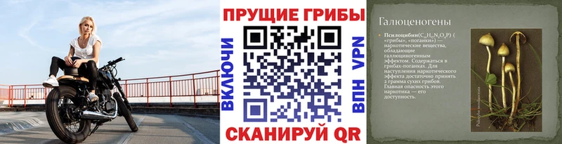 Галлюциногенные грибы Cubensis Углегорск